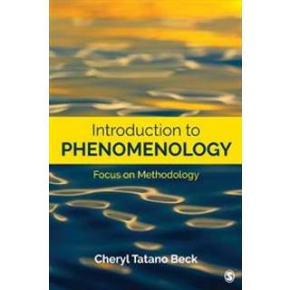 Introduction to Phenomenology
