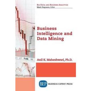 Business Intelligence and Data Mining