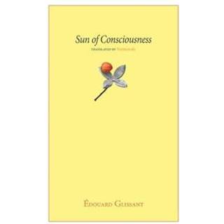 Sun of Consciousness