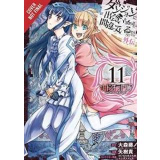 Is It Wrong to Try to Pick Up Girls in a Dungeon? On the Side: Sword Oratoria, Vol. 11 (manga)