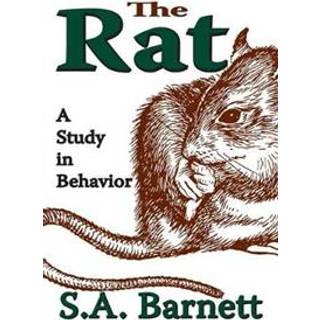 The Rat