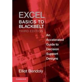 Excel Basics to Blackbelt
