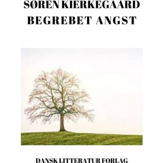 Begrebet angst