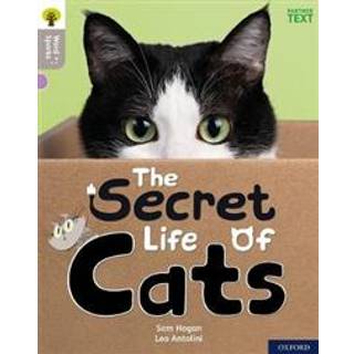 Oxford Reading Tree Word Sparks: Level 1: The Secret Life of Cats