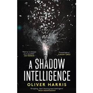 A Shadow Intelligence