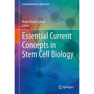 Essential Current Concepts in Stem Cell Biology