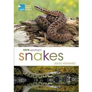 RSPB Spotlight Snakes