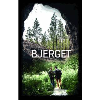 Bjerget