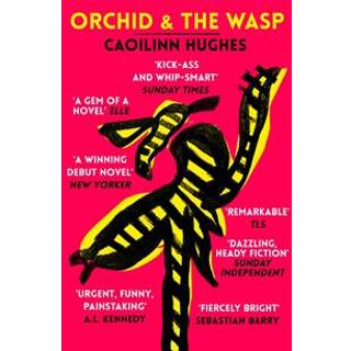 Orchid & the Wasp