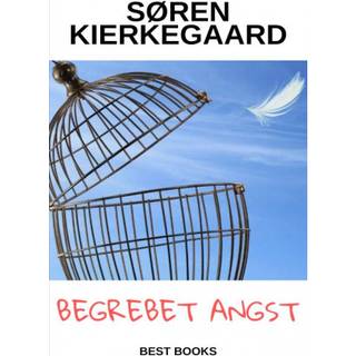 Begrebet angst