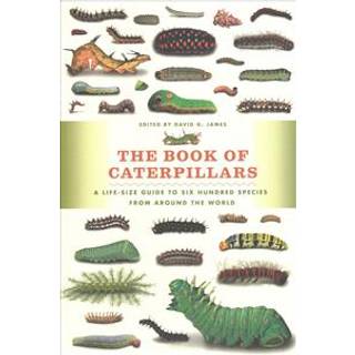 The Book of Caterpillars