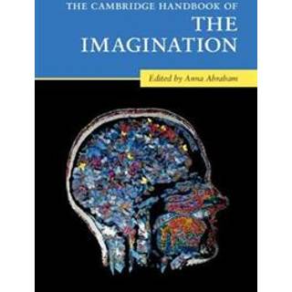 The Cambridge Handbook of the Imagination