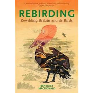 Rebirding