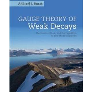 Gauge Theory of Weak Decays