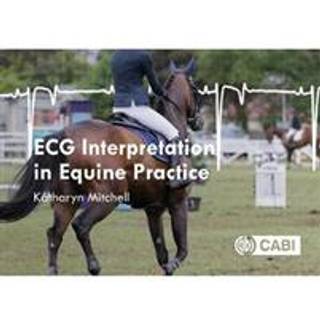 ECG Interpretation in Equine Practice