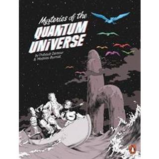 Mysteries of the Quantum Universe