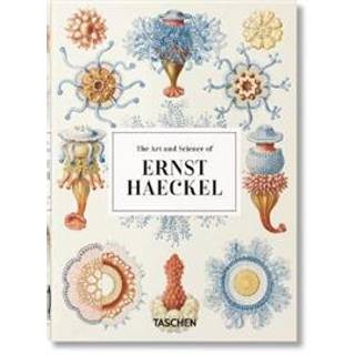 Ernst Haeckel - 40 Series