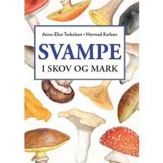 Svampe i skov og mark - Udendørsliv fra