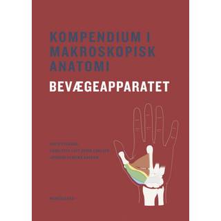 David Kocemba;Charlotte Lott Dreiø Carlsen;Johanne Elmbæk Kassow - Kompendium i makroskopisk anatomi - bevægeapparatet