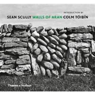 Sean Scully - Walls of Aran