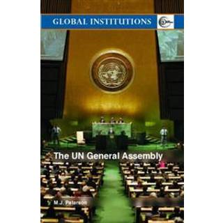 The UN General Assembly