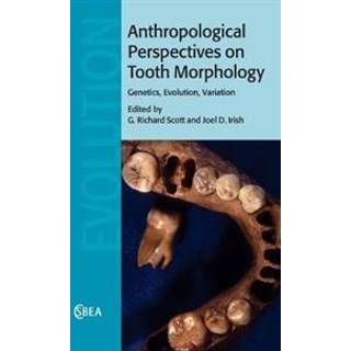 Anthropological Perspectives on Tooth Morphology