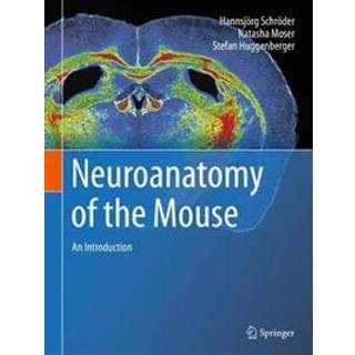 Neuroanatomy of the Mouse