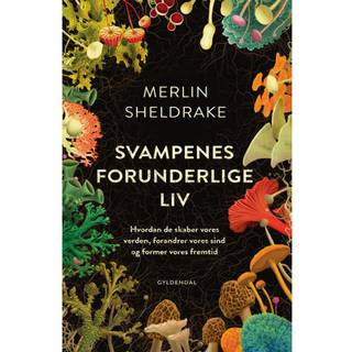 Svampenes forunderlige liv