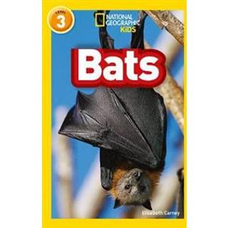 Bats