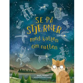 Se på stjerner med katten om natten