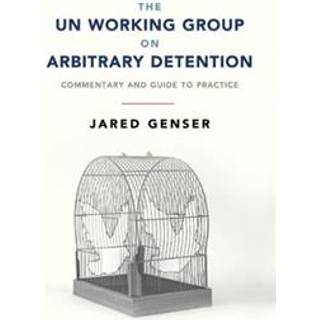 The UN Working Group on Arbitrary Detention