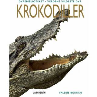 Krokodiller