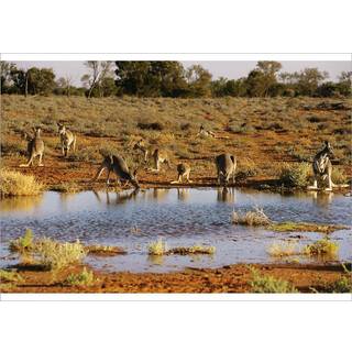 Kroppen holder regnskab