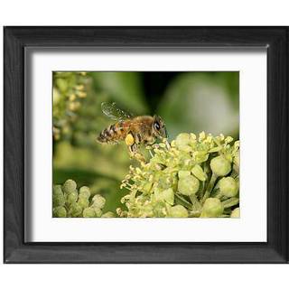 Drømme og driblinger 1