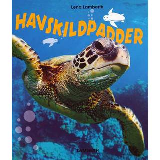 Havskildpadder
