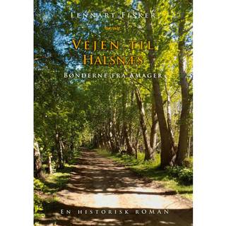 Vejen til Halsnæs