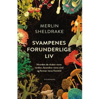 Svampenes forunderlige liv