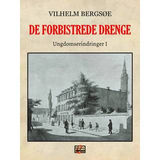 De forbistrede drenge