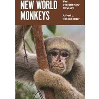 New World Monkeys