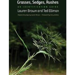 Grasses, Sedges, Rushes