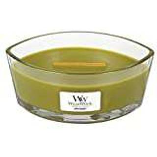 Cut Flowers of the World