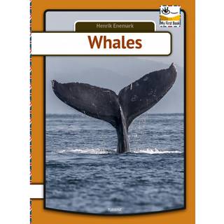 Whales