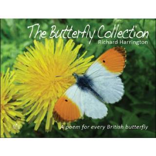 The Butterfly Collection