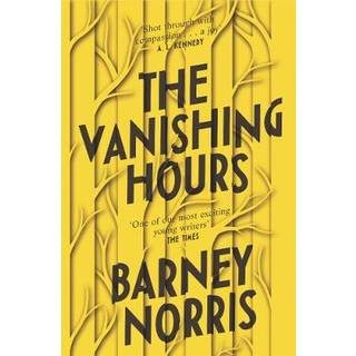 The Vanishing Hours