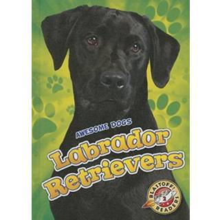 Labrador Retrievers