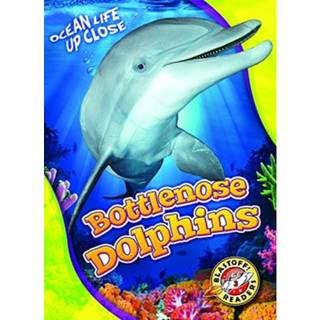 Bottlenose Dolphins