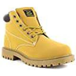 Understanding Expertise in Teaching