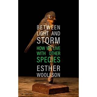 Between Light and Storm