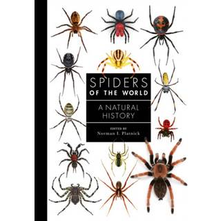 Spiders of the World