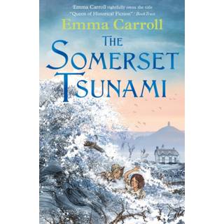 The Somerset Tsunami